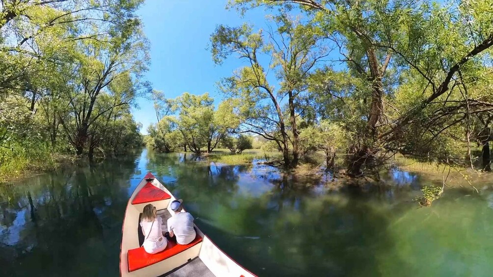 Picture 3 for Activity Virpazar: Amazon wilderness speed boat cruise