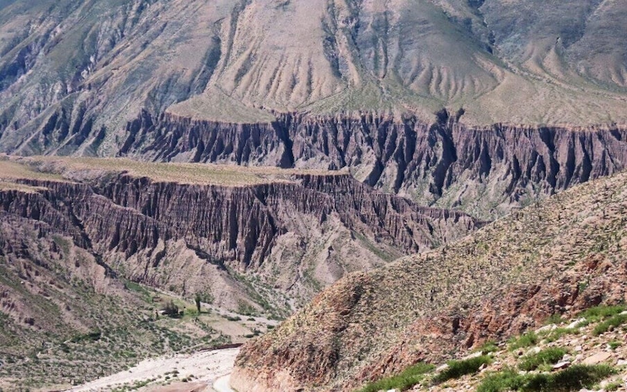 Picture 39 for Activity From Salta: Full-Day Tours of Cafayate and Salinas Grandes
