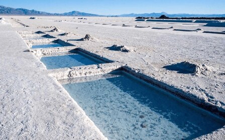 Fra Salta: Heldagsture til Cafayate og Salinas Grandes