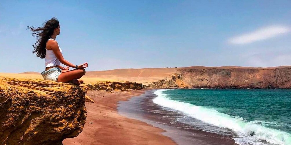 Ballestas Islands and Paracas Reserve - Full Day Escape