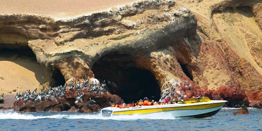 Picture 8 for Activity Ballestas Islands and Paracas Reserve - Full Day Escape