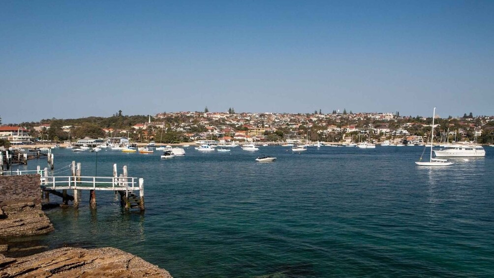 Picture 5 for Activity Sydney: Watsons Bay Walking Tour