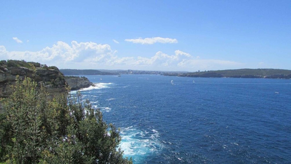 Picture 4 for Activity Sydney: Watsons Bay Walking Tour