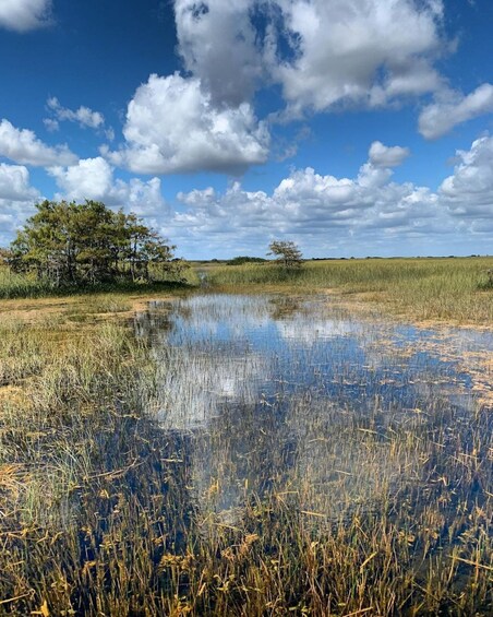 Picture 7 for Activity Private Everglades Tour:Explore the Beauty of the Everglades