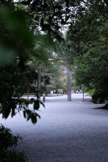 Picture 2 for Activity A trip to visit Ise Grand Shrine and experience Ama culture