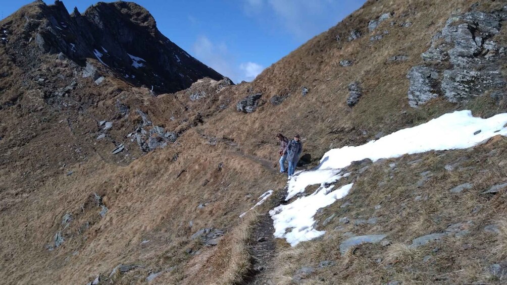 Picture 5 for Activity Sibiu: 1-Day Hiking Tour in the Carpathian Mountains