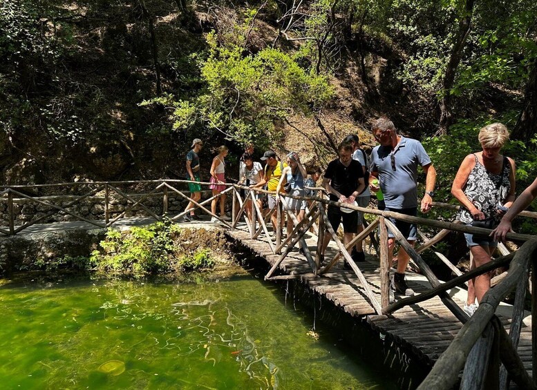 Picture 36 for Activity Private tour: Butterflies Valley & Lindos Village (FD)