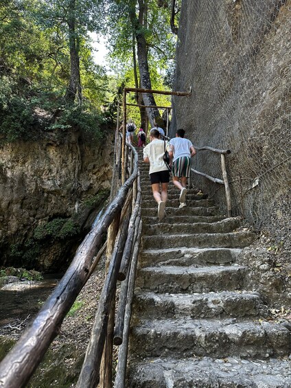 Picture 26 for Activity Private tour: Butterflies Valley & Lindos Village (FD)