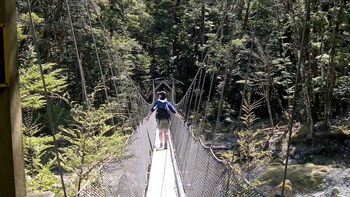 Half-Day Guided Routeburn Track Walk