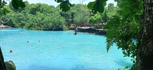 Port Vila: Blue Lagoon & Baby Turtles Tour with BBQ Lunch