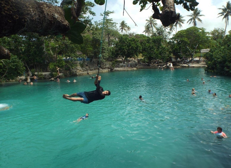 Picture 1 for Activity Port Vila: Blue Lagoon & Baby Turtles Tour with BBQ Lunch