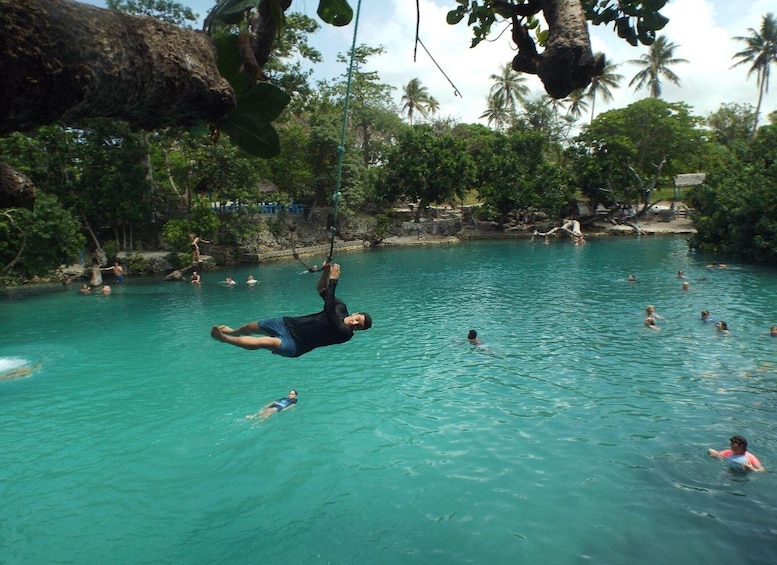 Picture 1 for Activity Port Vila: Blue Lagoon & Baby Turtles Tour with BBQ Lunch