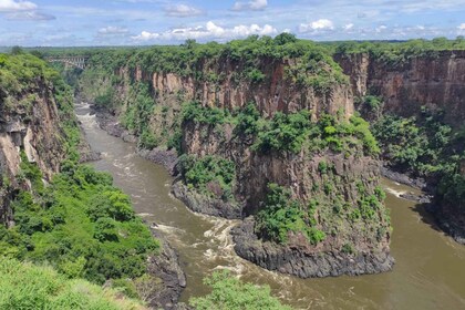 Chutes Victoria : Safari 4x4 au Baobab dans le parc national