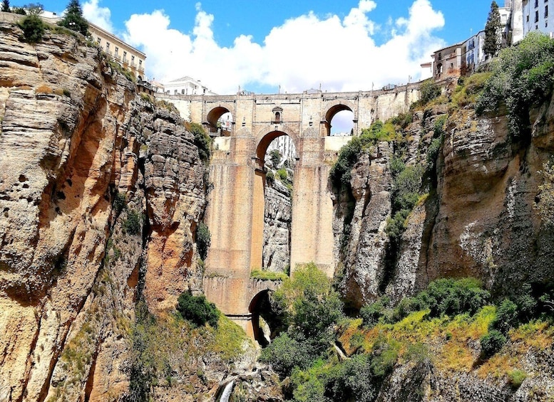 Picture 4 for Activity From Costa del Sol: Ronda, and Bullring Tour