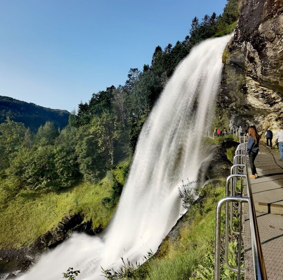 Picture 9 for Activity Flexible tour to Hardangerfjord vøringsfossen or glacier