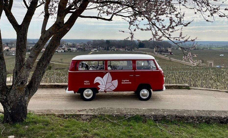 Small group Vintage van tour