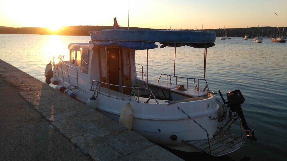 Picture 5 for Activity Punat-Private boat trip in the intact nature of Island Krk