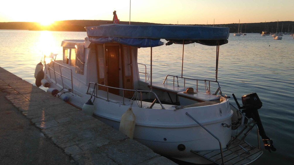 Picture 5 for Activity Punat-Private boat trip in the intact nature of Island Krk