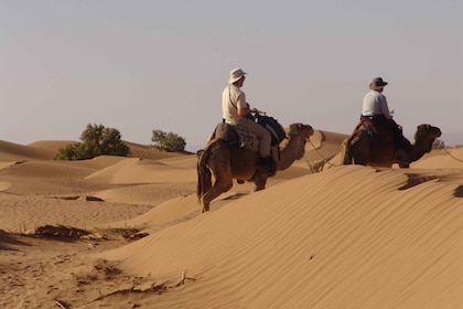 Sahara desert private tours