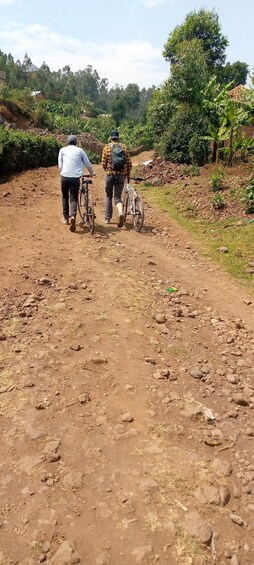 Picture 2 for Activity Kisoro: Half-Day Hidden Gems Bike Tour