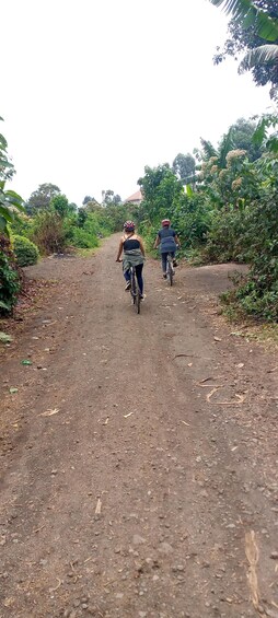 Picture 3 for Activity Kisoro: Half-Day Hidden Gems Bike Tour