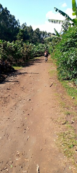 Picture 1 for Activity Kisoro: Half-Day Hidden Gems Bike Tour