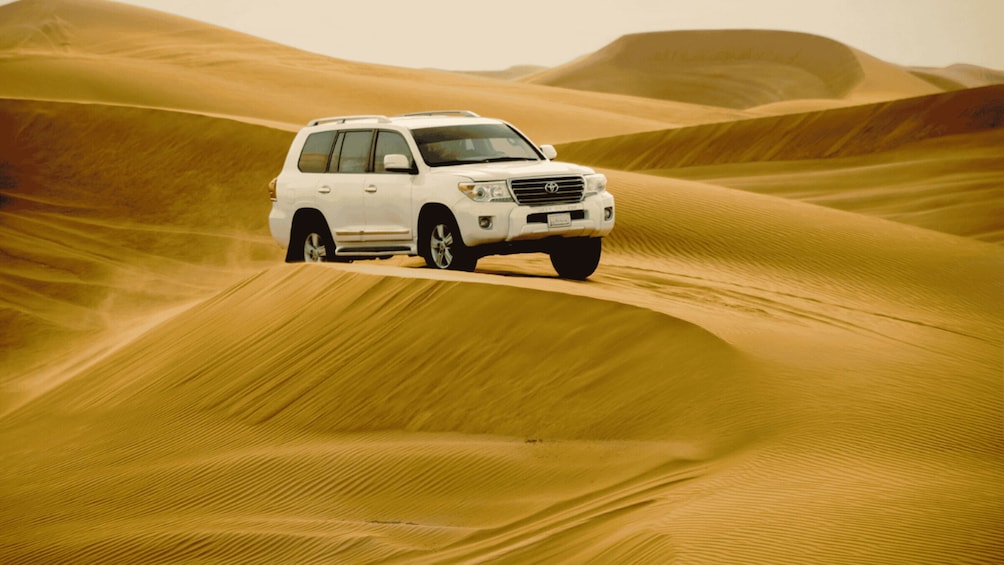 Picture 2 for Activity Doha: Half Day Desert Safari From Cruise Port