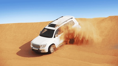 Doha: Half Day Desert Safari From Cruise Port