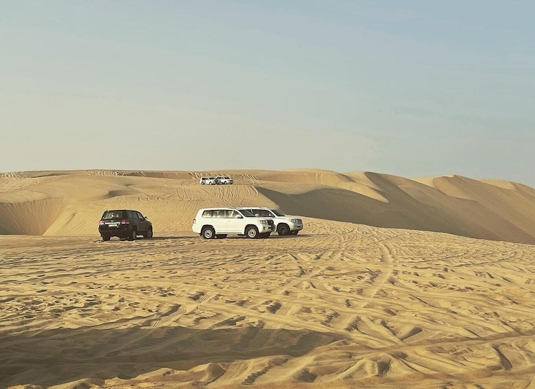 Picture 1 for Activity Doha: Half Day Desert Safari From Cruise Port