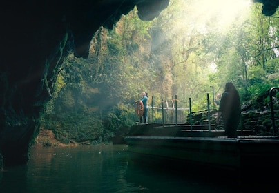 From Auckland: Waitomo Caves and Rotorua with Te Puia