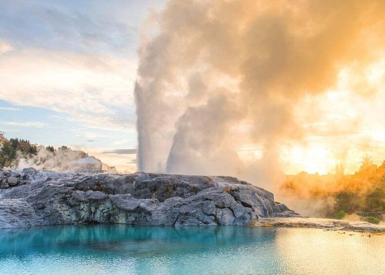 Picture 7 for Activity From Auckland : Waitomo Caves and Rotorua with Te Puia