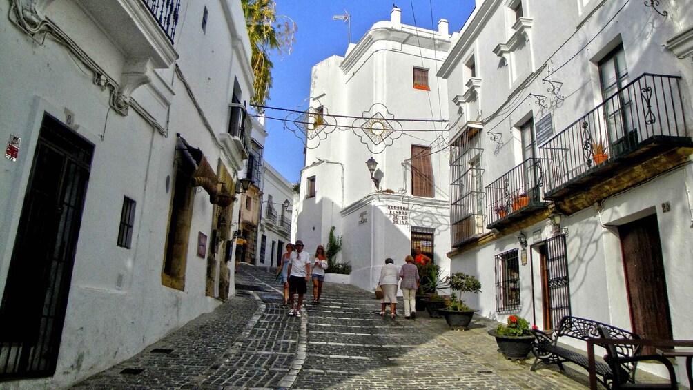 Picture 6 for Activity Vejer de la Frontera: Historical Walking Tour