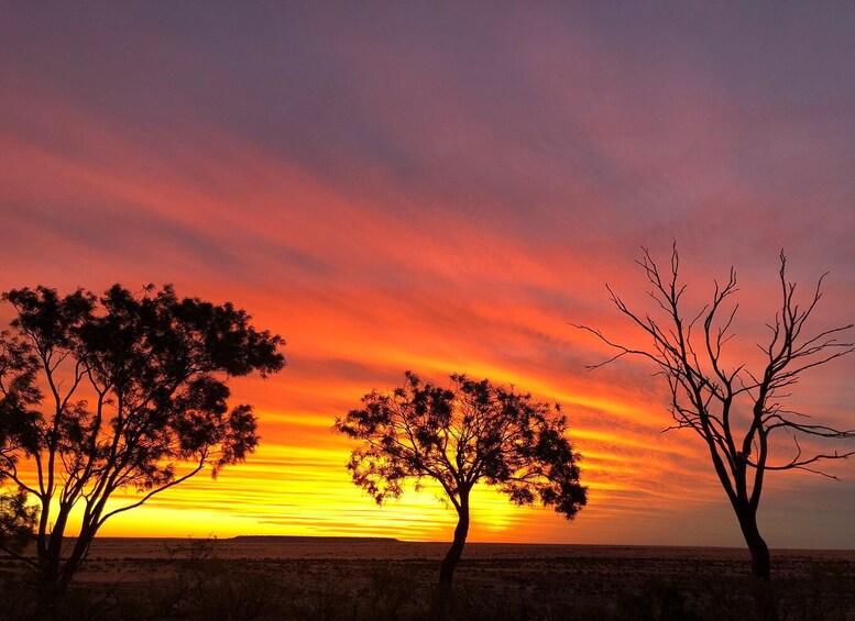 Picture 2 for Activity Winton: Rangelands Rifts & Sunset Tour