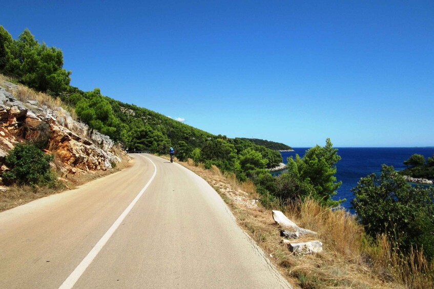 Picture 1 for Activity Electric bike rental in Split and Dalmatia area