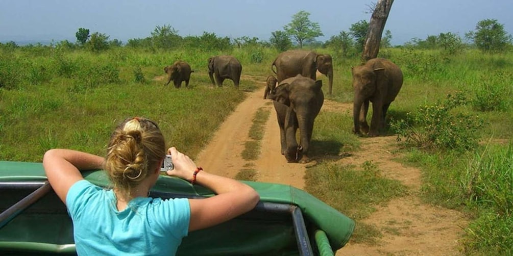 10-Days Discover Sri Lanka's Natural Beauty and Wildlife