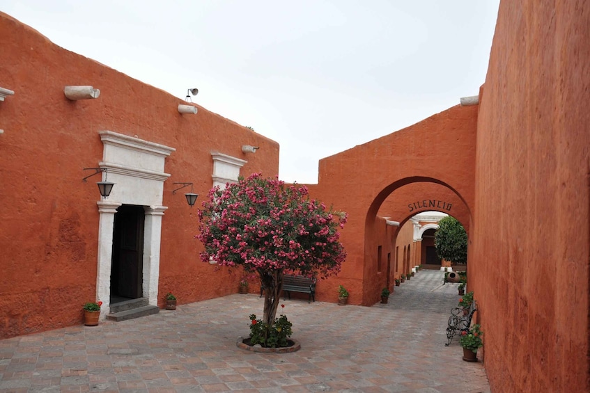 Picture 9 for Activity Arequipa: Private City Tour and Santa Catalina Monastery