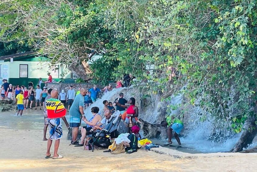 Picture 4 for Activity Montego Bay: Private Dunn's River Falls and Blue Hole Tour