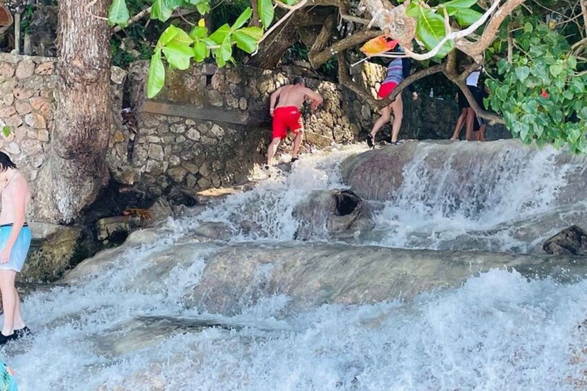 Picture 3 for Activity Montego Bay: Private Dunn's River Falls and Blue Hole Tour