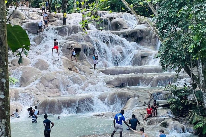 Picture 2 for Activity Montego Bay: Private Dunn's River Falls and Blue Hole Tour