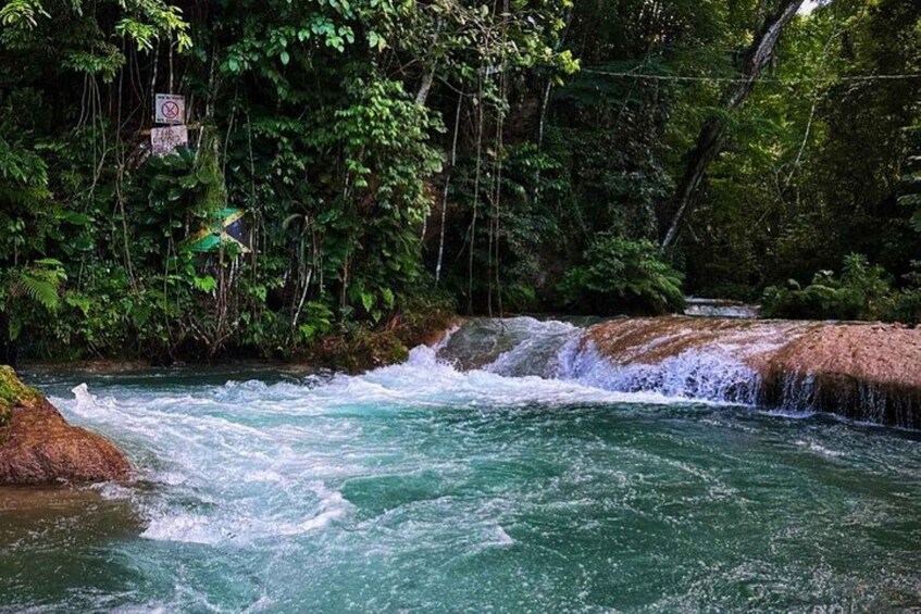 Picture 1 for Activity Montego Bay: Private Dunn's River Falls and Blue Hole Tour