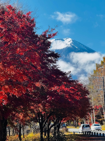 Picture 24 for Activity Tokyo: Mount Fuji and Hakone Private Sightseeing Day Tour