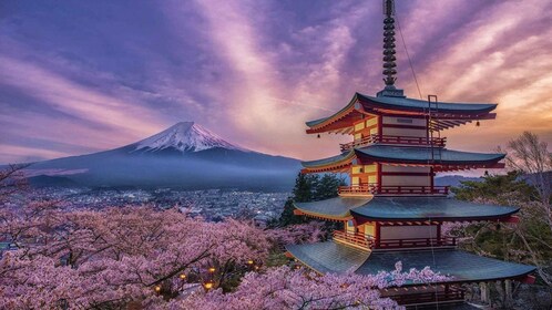 Tokio: Fuji-vuori ja Hakone Yksityinen kaupunkikierros päiväretki: Fuji-vuo...