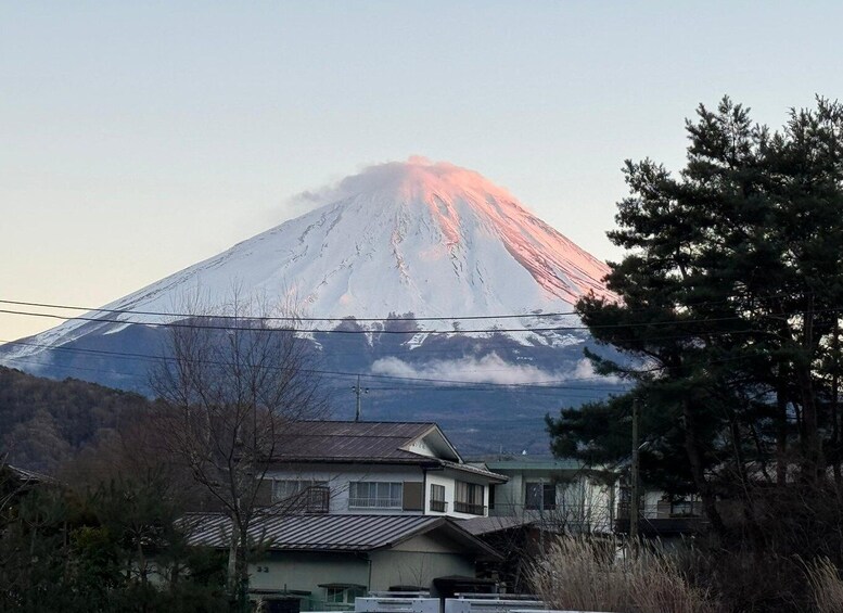 Picture 1 for Activity From Tokyo: Private Mount Fuji and Hakone Day Trip