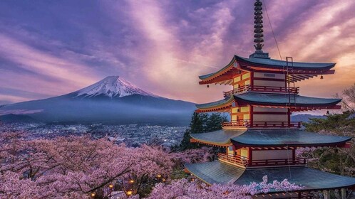 Desde Tokio: excursión privada de un día al monte Fuji y Hakone