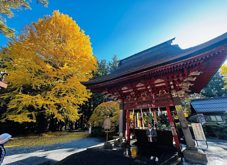 Picture 25 for Activity Tokyo: Mount Fuji and Hakone Private Sightseeing Day Tour