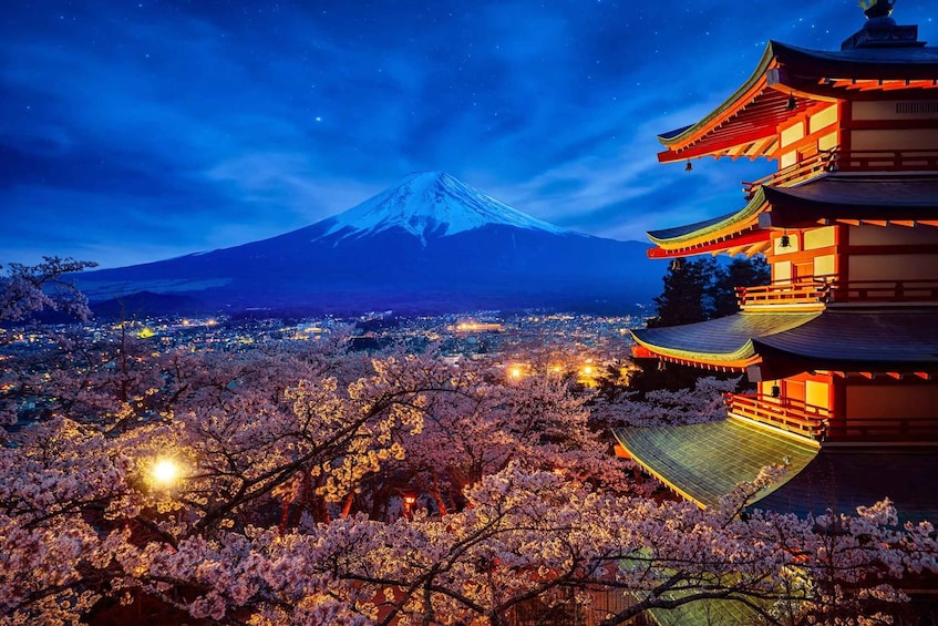 Picture 1 for Activity Tokyo: Mount Fuji and Hakone Private Sightseeing Day Trip