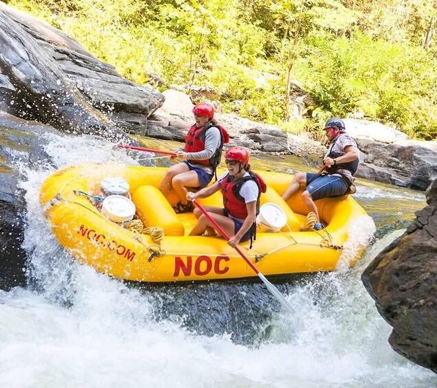 Picture 4 for Activity Chattooga: Chattooga River Rafting with Lunch