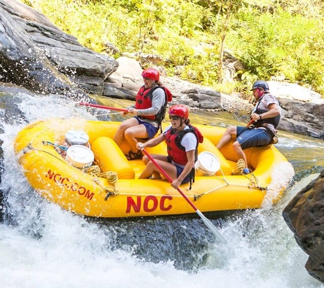 Picture 4 for Activity Chattooga: Chattooga River Rafting with Lunch