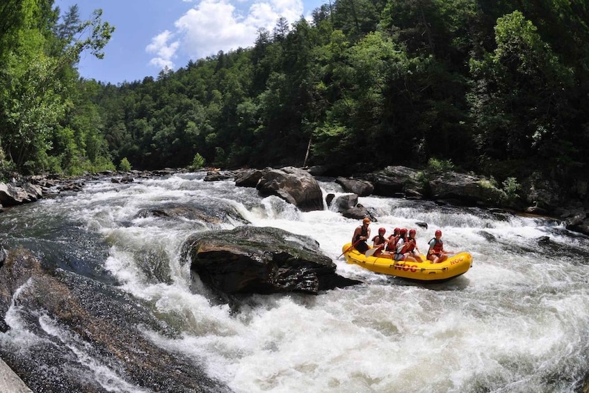 Picture 5 for Activity Chattooga: Chattooga River Rafting with Lunch