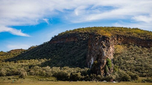 Safari económico de 12 días para acampar en Kenia y Tanzania